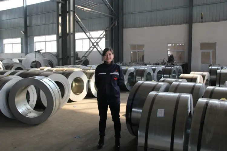 DNV D420 Shipbuilding Steel Coil